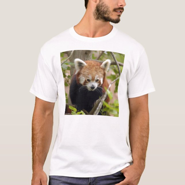 T-shirt Panda-023 rouge (Devant)
