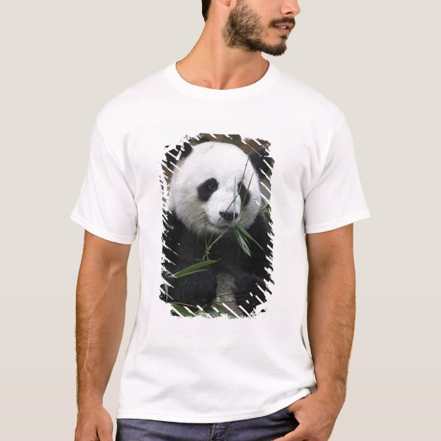 T-shirt Panda géant (Devant)
