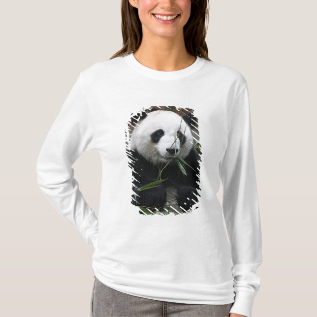 T-shirt Panda géant (Devant)