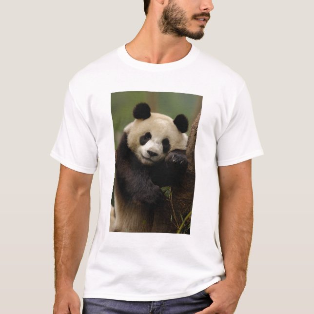 T-shirt Panda géant Ailuropoda melanoleuca) Famille (Devant)