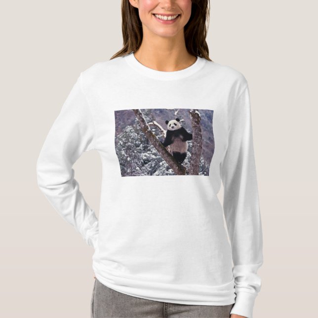 T-shirt Panda géant debout sur un arbre, Wolong, Sichuan, (Devant)