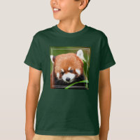 Panda roux mignon