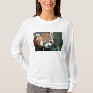 T-shirt Panda roux, Taronga Zoo, Sydney, Australie