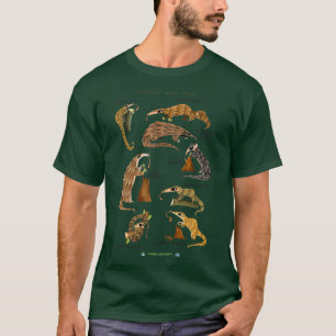 T-shirt Pangolins du monde