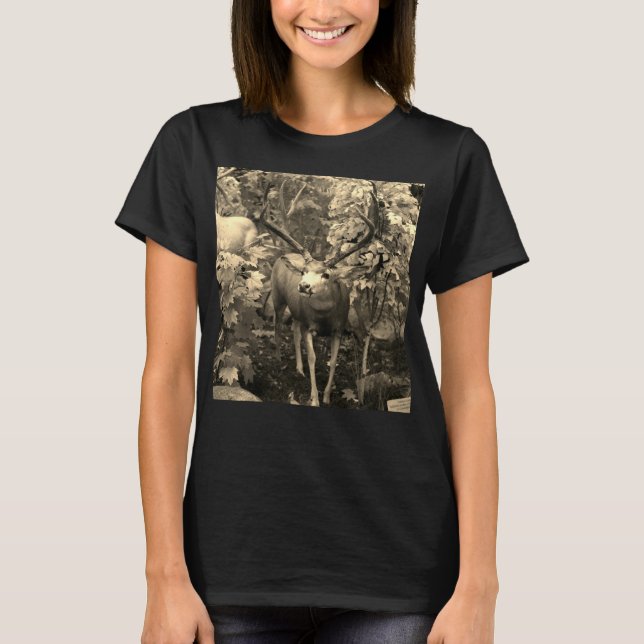 T-shirt Panneau En Bois D'Automne (Devant)