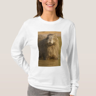 T-shirt Pantanal, Brésil, Capybara, Hydrochoerus