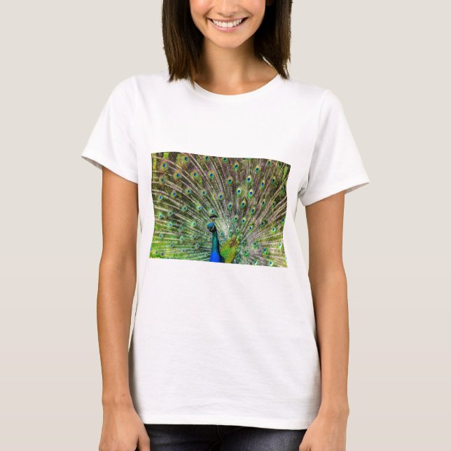 T-shirt Paon (Devant)