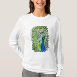T-shirt Paon criard