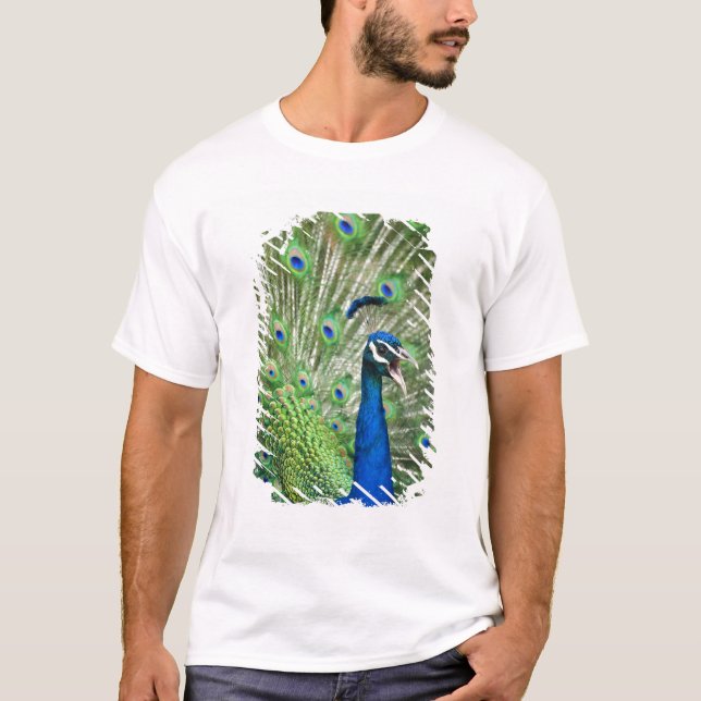 T-shirt Paon criard (Devant)