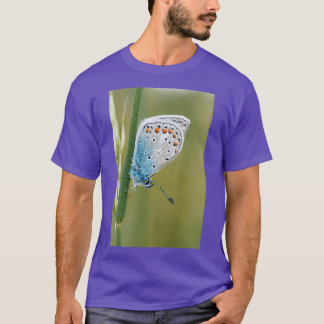 T-shirt Papillon Blue Skies