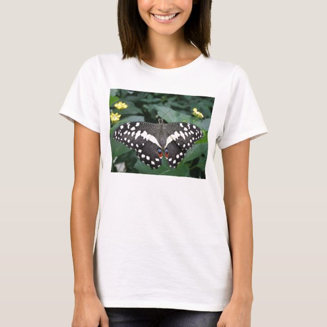 T-shirt Papillon de citron vert et fleurs Mesdames T Chemi (Devant)