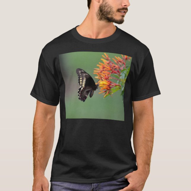 T-shirt Papillon de machaon de Polydamus (Devant)
