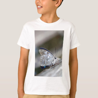 T-shirt Papillon Gris Bleu