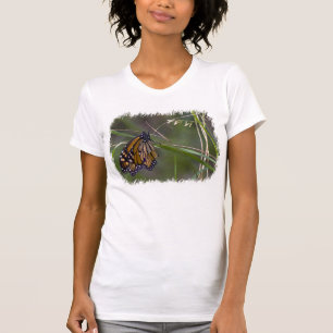 T-shirt Papillon monarque dans l'herbe Bord blanc