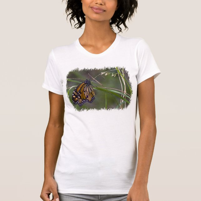 T-shirt Papillon monarque dans l'herbe Bord blanc (Devant)
