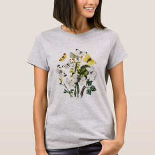 T-shirt Papillon papillon vintage Ancienne illustration