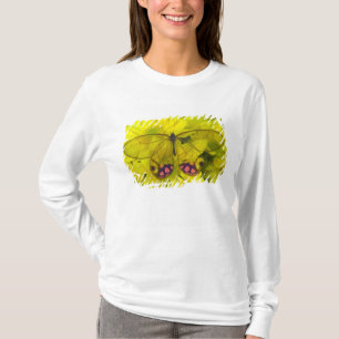 T-shirt Papillon sur jaune