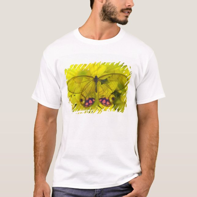 T-shirt Papillon sur jaune (Devant)