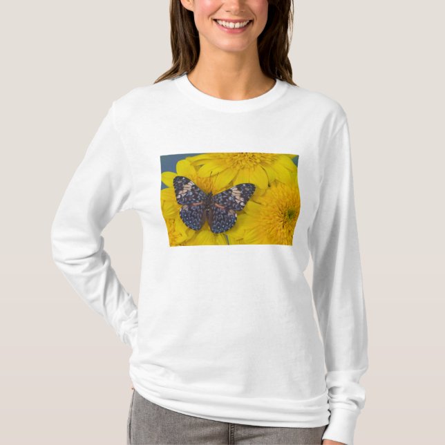 T-shirt Papillon sur une fleur jaune (Devant)