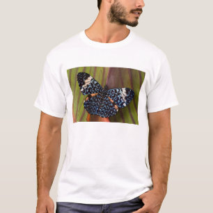T-shirt Papillon tropical