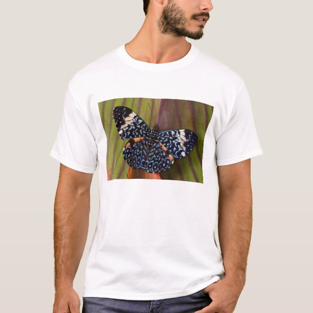 T-shirt Papillon tropical (Devant)