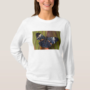 T-shirt Papillon Tropical