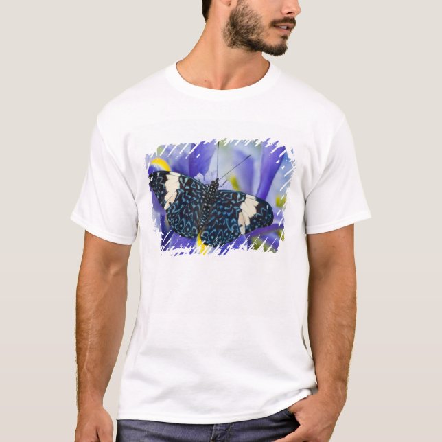 T-shirt Papillon tropical violet iris (Devant)