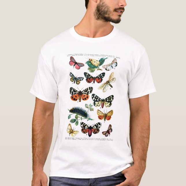 T-shirt Papillons européens (Devant)
