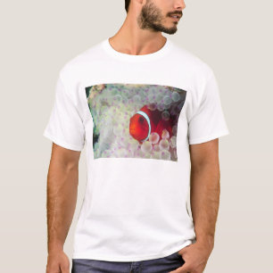 T-shirt Papouasie-Nouvelle-Guinée, Grande Barrière de cora