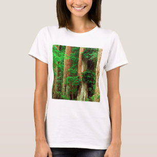 T-shirt Parc antique de séquoia de bassin de Giants de
