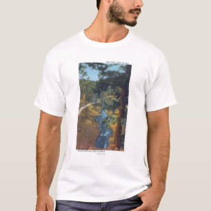 T-shirt Parc de montagne de Denver, Co - canyon de crique