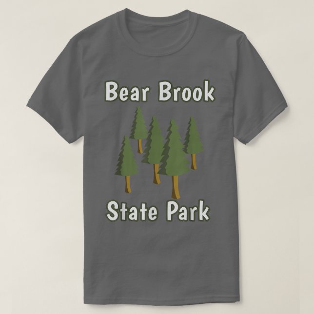 T-shirt Parc d'état de Bear Brook New Hampshire Forest Woo (Design devant)