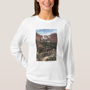 T-shirt Parc national de montagne rocheuse, Co