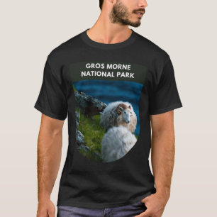 T-shirt Parc national du Gros-Morne - Terre-Neuve