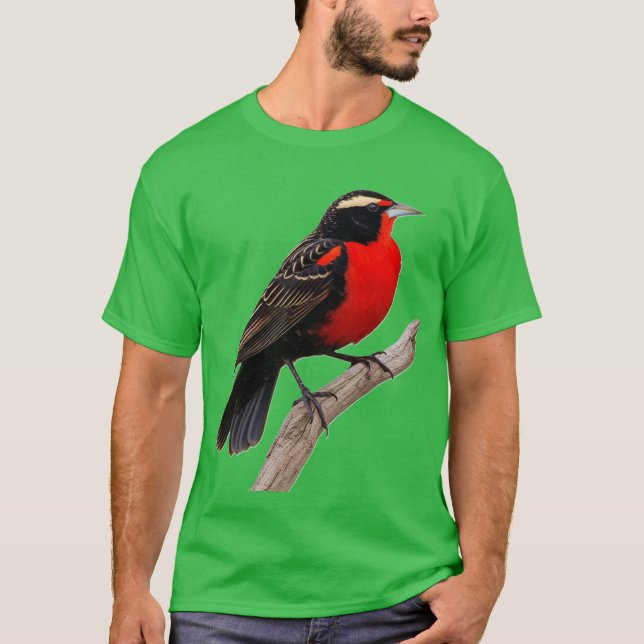 T-shirt Pássaro peito-vermelho-grande (Sturnella defilipp) (Devant)