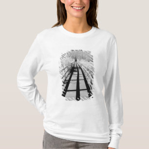 T-shirt Passerelle de Corkscrew Swamp Sanctuary, Floride,