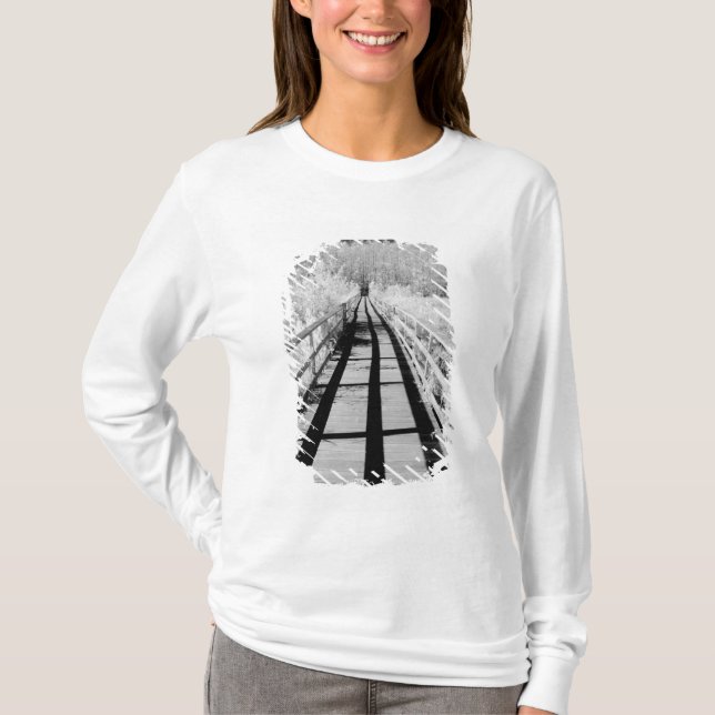 T-shirt Passerelle de Corkscrew Swamp Sanctuary, Floride, (Devant)