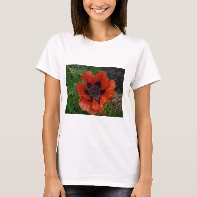 T-shirt pavot d'Orient       (Devant)