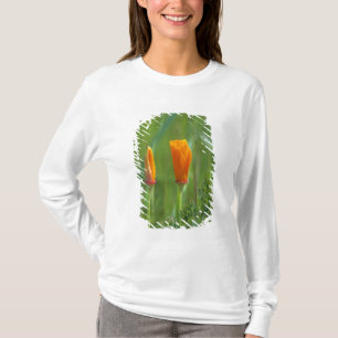 T-shirt pavots dorés de Californie dans un champ vert