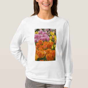 T-shirt Pays-Bas aka Hollande), Lisse. Keukenhof 4