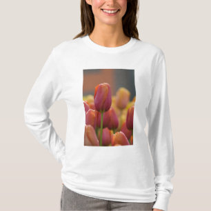 T-shirt Pays-Bas aka Hollande), Lisse. Keukenhof 6