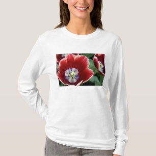 T-shirt Pays-Bas (aussi appelé Hollande), Lisse. Keukenhof