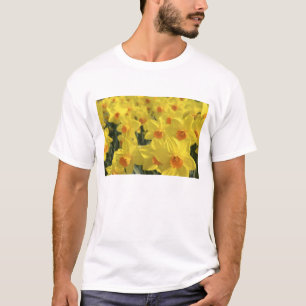 T-shirt Pays-Bas, Hollande, Lisse, Jardins de Keukenhof,