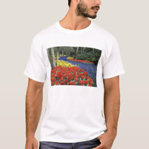 T-shirt Pays-Bas, Hollande, Lisse, Jardins de Keukenhof