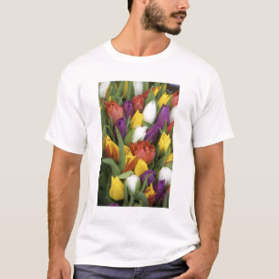 T-shirt Pays-Bas, Hollande-Méridionale, Amsterdam