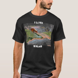 T-shirt Pays gallois