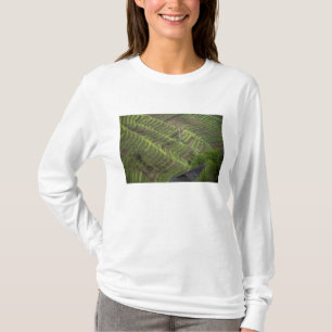 T-shirt Paysage de rizières en terrasses dans la montagne,