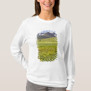T-shirt Paysage panoramique de la vallée de Svarfadardalur