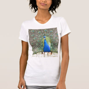 T-SHIRT PEACOCK