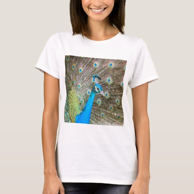 T-shirt Peacock with Feathers Out - Homme Bird - Photo (Devant)